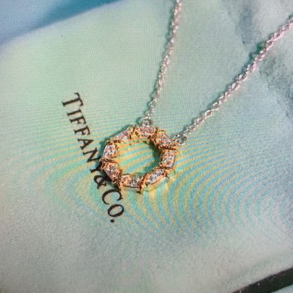 Tiffany & Co Silver and Gold Circle Pendant Necklace - Picture 2 of 4